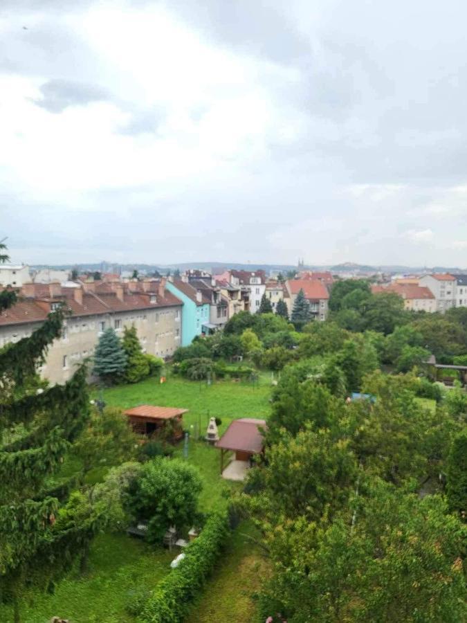Apartments Spacilova Nearly Center Komarov Dış mekan fotoğraf